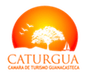Logo Caturgua en copyright area