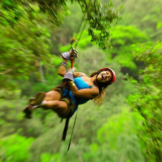 Canopy tours