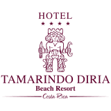 Hotel Tamarindo Diria Beach Resort